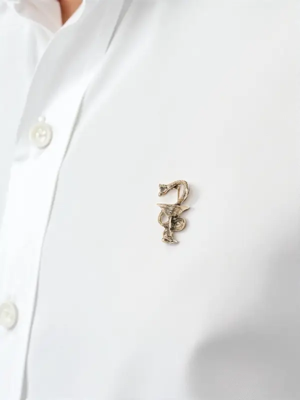 Брошь &laquo;Змея в геральдике&raquo;, медицина, цвет чернёное золото