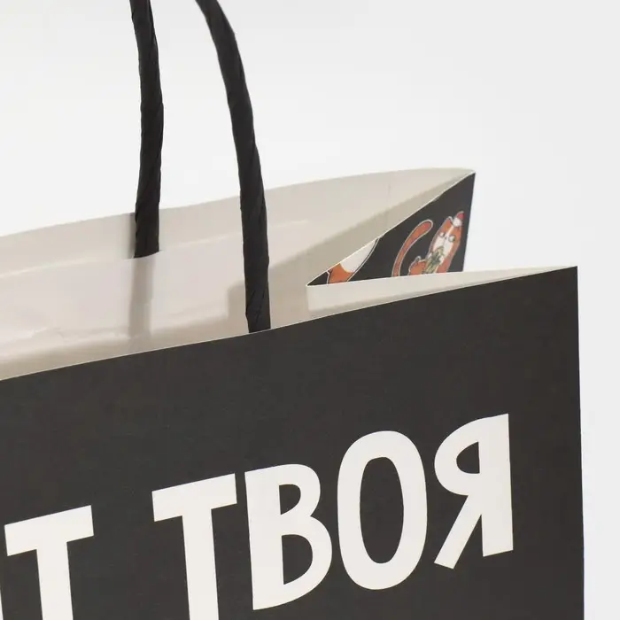 Пакет подарочный новогодний &laquo;Рожа&raquo;, 22 х 22 х 11 см