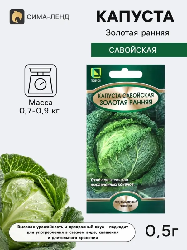 Семена Капуста савойская &laquo;Золотая ранняя&raquo;, 0.5 г, &laquo;Поиск&raquo;