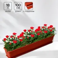 Балконный ящик для цветов &laquo;Алиция&raquo;, 18 л, 100&times;19&times;17 см, с поддоном, цвет терракотовый