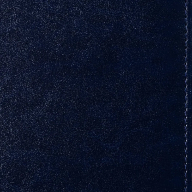 Ежедневник недатированный синий, А5, 148x218, 352стр, Agenda