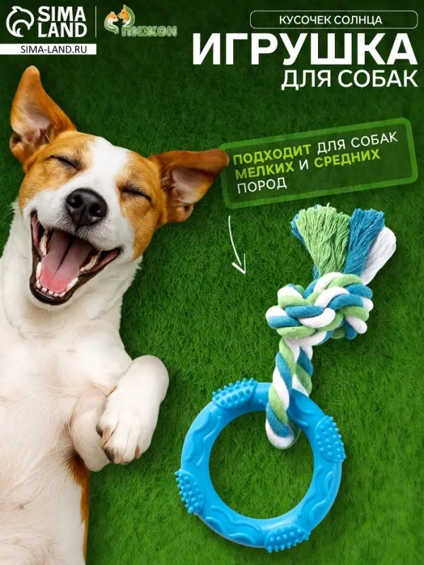 Игрушка жевательная с канатом &laquo;Кусочек солнца&raquo;, 8 см, голубая