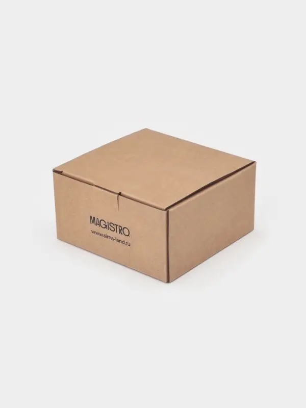 Чайная пара Magistro "Бланш" кружка 200 мл