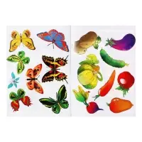 Трафарет - раскраска Calligrata, набор, 6 штук, для девочек
