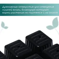 Кассета для рассады, 6 ячеек по 120 мл, пластик, чёрная, 18&times;13&times;6 см, набор 10 шт., Greengo