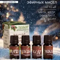 Новогодний набор эфирных масел &laquo;Любимому папе в Новый год!&raquo;, мята, апельсин, кедр, эвкалипт, 4 шт. по 10 мл