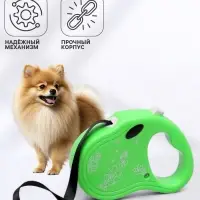 Рулетка &laquo;Цветы&raquo;, 3 м, до 10 кг, зелёная