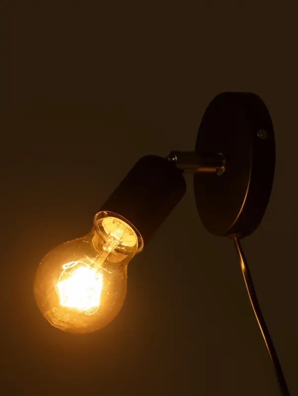 Спот &laquo;Дарни&raquo; с проводом и выключателем Е27 40 Вт чёрный 10&times;10&times;10-160 см