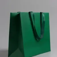 Пакет подарочный ламинированный горизонтальный &laquo;Изумрудный&raquo;, 32&times;25&times;11 см