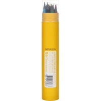 Карандаши цветные M&G, пластиковые, шестигран, стираемые, 12 цв/наб, в тубе