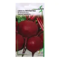 Семена Свекла "Мулатка", 120 шт Семена Свекла "Мулатка", 120 шт
