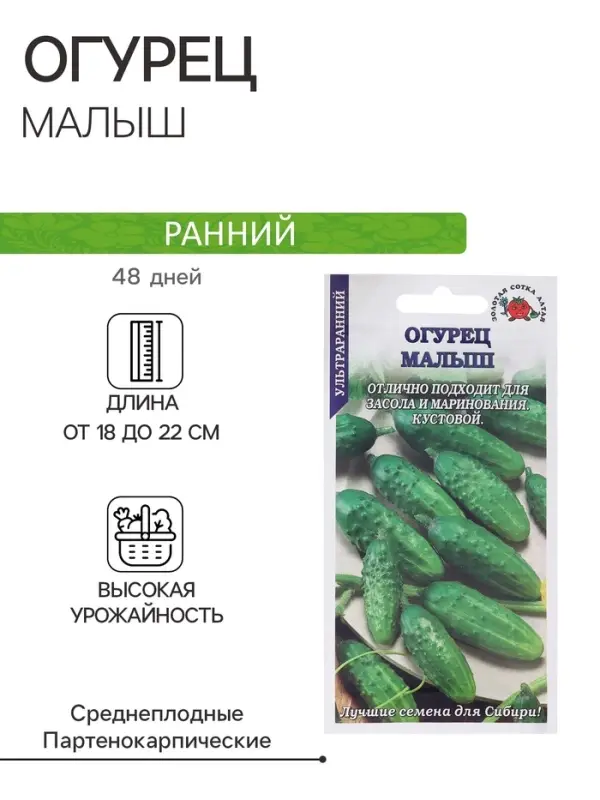 Семена Огурец Семена Огурец "Малыш", ультраранний, 0,3 г