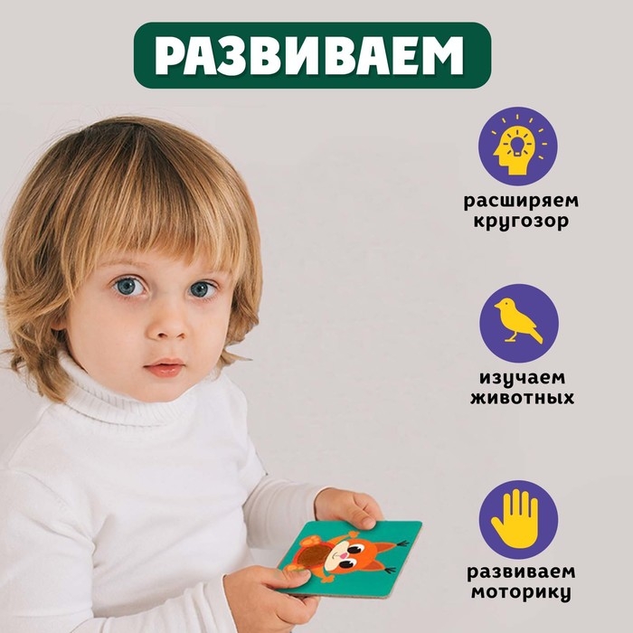 Развивающий набор «Животные леса», тактильные карточки Развивающий набор «Животные леса», тактильные карточки