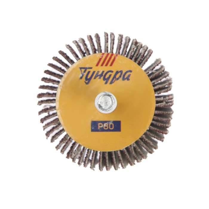 Круг лепестковый радиальный ТУНДРА, 40 х 20 х 6 мм, Р80 Круг лепестковый радиальный ТУНДРА, 40 х 20 х 6 мм, Р80
