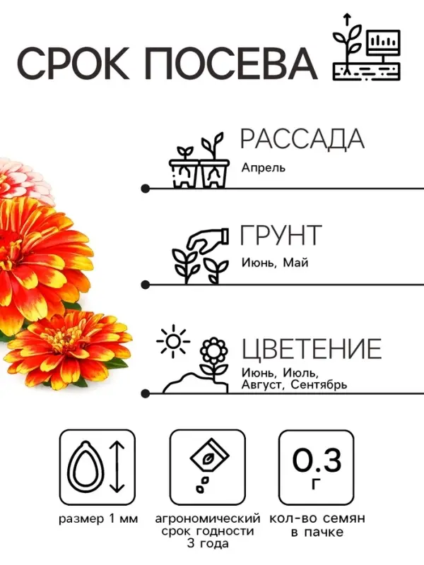 Семена цветов Цинния &laquo;Карусель&raquo;, смесь 0.3 г, &laquo;Рецепты дедушки Никиты&raquo;