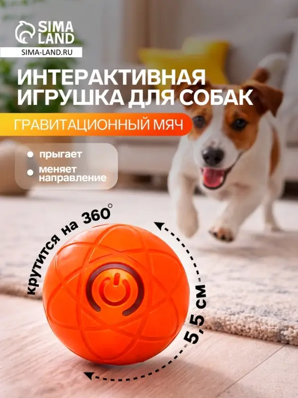 Интерактивная игрушка для собак &laquo;Гравитационный мяч&raquo;, 5.5 см, оранжевая