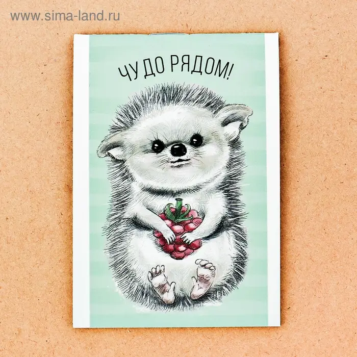 Блокнот в клетку "Чудо рядом", на скрепке, А7, 16 листов