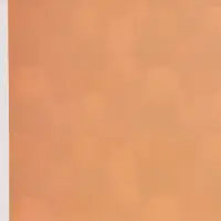 Бумага упаковочная глянцевая двухсторонняя &laquo;Коты&raquo;, 70 &times; 100 см