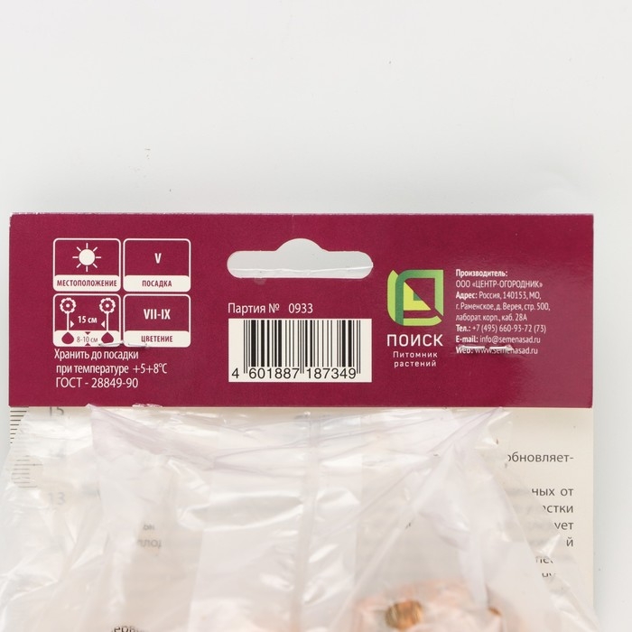 Гладиолус крупноцветковый «Вайн энд Роузес», луковица цветов в пакете с перфорацией, р-р 10/12, 10 шт.