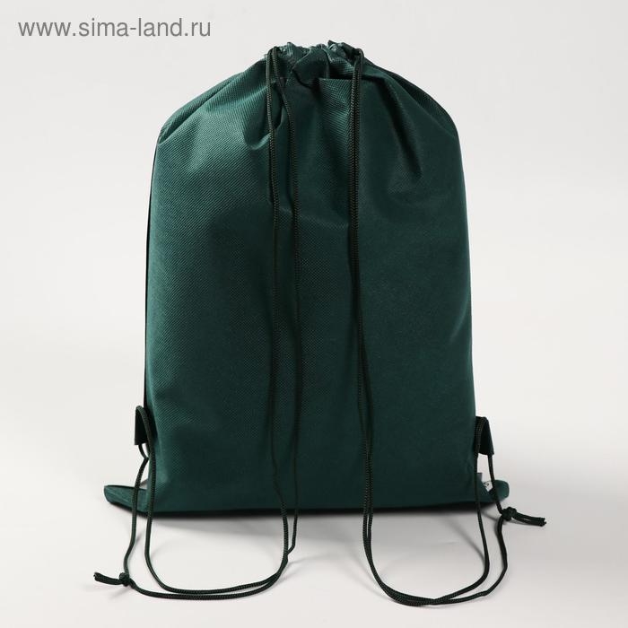 Мешок для обуви «Дино» 41×30 см Мешок для обуви «Дино» 41×30 см