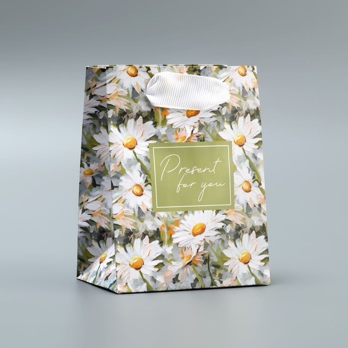 Пакет подарочный ламинированный, упаковка, Present, 9 х 12 х 6.5 см Пакет подарочный ламинированный, упаковка, Present, 9 х 12 х 6.5 см