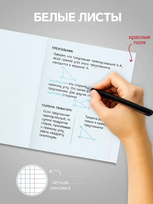 Тетрадь 96 листов в клетку Calligrata &laquo;Прекрасная пора&raquo;, МИКС