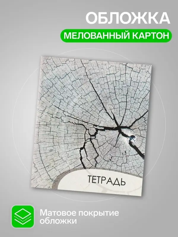 Комплект тетрадей из 4 штук, 96 листов в клетку Calligrata "Текстура 2", обложка мелованный картон, блок офсет