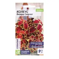 Семена комнатных цветов Колеус &laquo;Визард Скарлет&raquo;, 5 шт., &laquo;Семена Алтая&raquo;