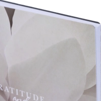 Бизнес-тетрадь, BS, А5, 80л., точка, спираль. Botanica, цикламен N4191