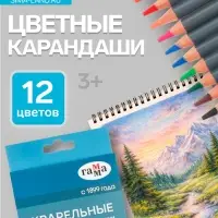 Карандаши цветные акварельные &laquo;Гамма. Студия&raquo; 12 цветов, грифель 3.8 мм, картонная коробка