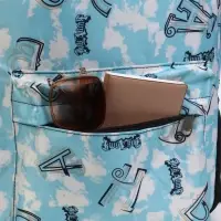 Рюкзак школьный на молнии, 3 наружных кармана, 30&times;13&times;42 см, голубой