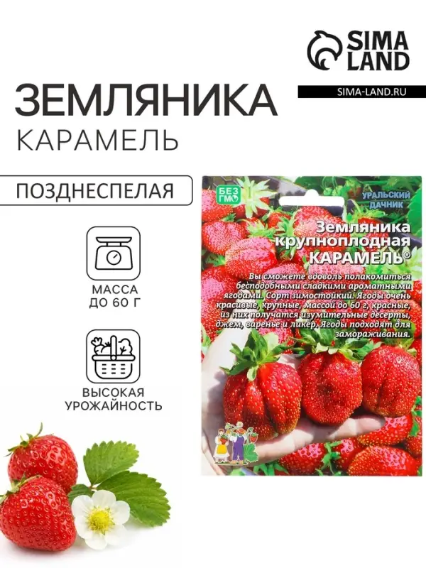 Семена Земляника &laquo;Карамель&raquo;, 10 шт., крупноплодная, &laquo;Уральский дачник&raquo;