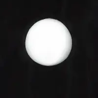 Материал мульчирующий, с перфорацией (4 ряда), 20&times;1.6 м, плотность 80 г/м&sup2;, спанбонд с УФ-стабилизатором, чёрный, Greengo, Эконом 30%