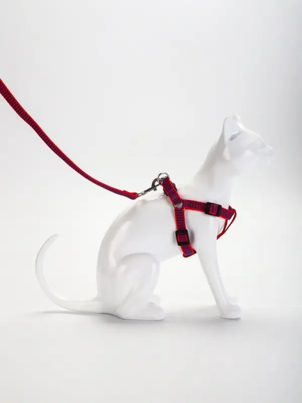 Комплект амуниции рельефный, поводок 120&times;1.5 см, ОГ 36-49 см, красно-синий