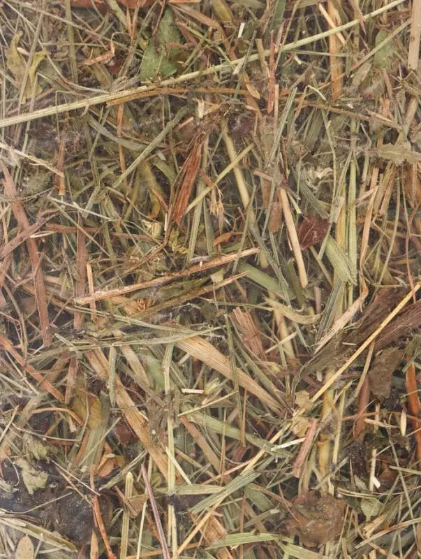 Сено луговое для грызунов и кроликов, 15л, серия LITTLE VILLAGE