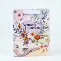 Набор  ламинированных вертикальных пакетов &laquo;Поздравляю&raquo;, 3 шт, MS 18 &times; 23 &times; 10 см