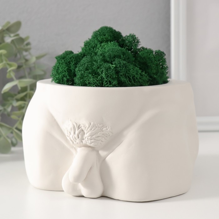 Кашпо бетонное Кашпо бетонное "Достоинство" со мхом высота 10 см,ширина 17 см белый (мох зеленый стабилиз)