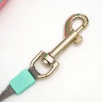 Рулетка - поводок для животных, лента 5 м