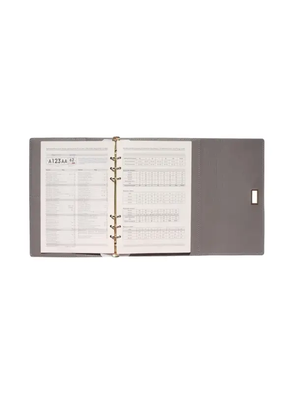 Органайзер на кольцах, А5, с клапаном, 80л, линия, к/зам, с ручкой, Серый Органайзер на кольцах, А5, с клапаном, 80л, линия, к/зам, с ручкой, Серый