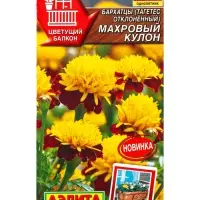 Семена цветов Бархатцы Махровый кулон отклоненные  Цветущий балкон, Ц/П,0,3 г