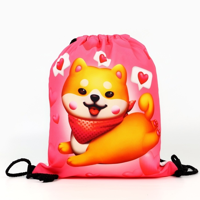 Мешок для обуви Cute siba текстиль, размер 41×34 см Мешок для обуви Cute siba текстиль, размер 41×34 см