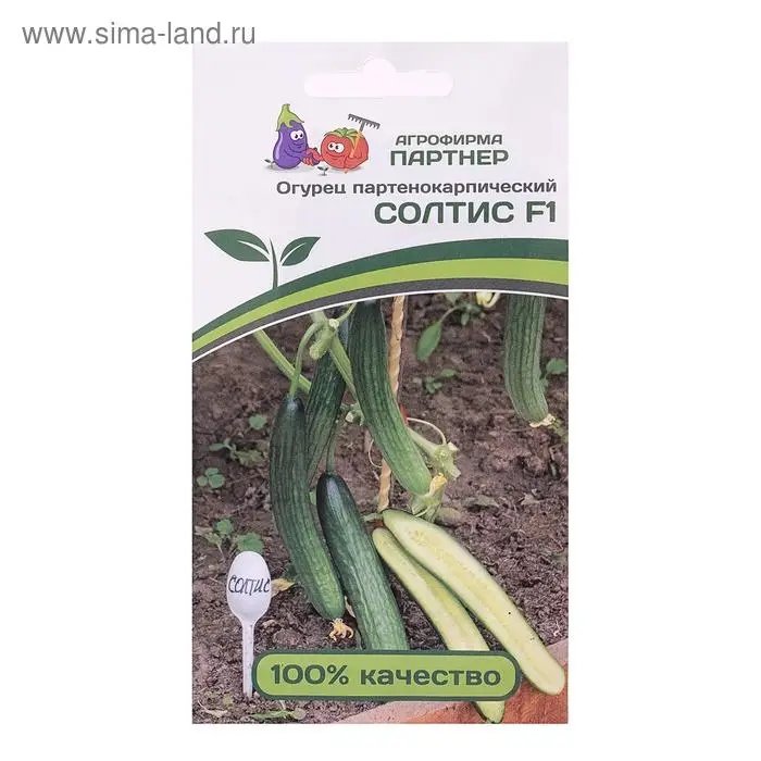 Семена огурца Семена огурца "Солтис", F1, 5 шт.