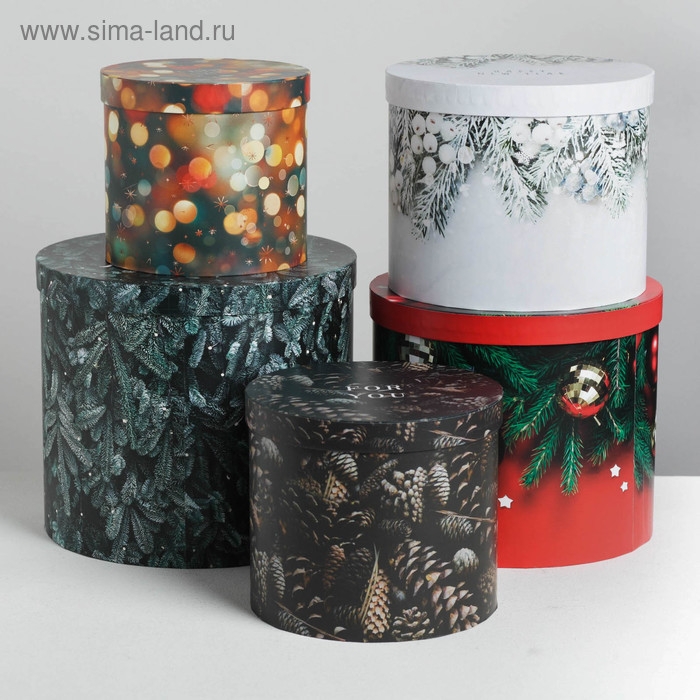 Набор подарочных коробок 5 в 1 «Новогоднее фото», 13 х 14‒19.5 х 22 см, Новый год