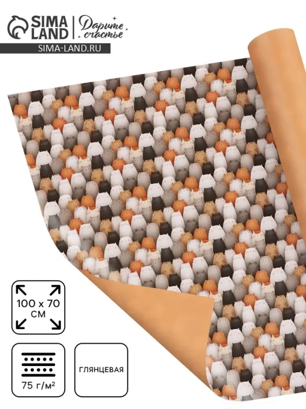 Бумага упаковочная глянцевая двухсторонняя &laquo;Коты&raquo;, 70&times;100 см