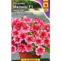 Семена цветов Петуния мини Малыш F1 красная с прожилками многоцветковая (драже) С. Cerny, Ц/П,7 шт. Семена цветов Петуния мини Малыш F1 красная с прожилками многоцветковая (драже) С. Cerny, Ц/П,7 шт.