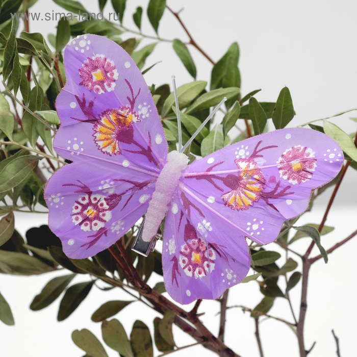 Бабочка для декора и флористики, на прищепке, пластиковая, микс, 1 шт., 11 х 8,5 х 1 см Бабочка для декора и флористики, на прищепке, пластиковая, микс, 1 шт., 11 х 8,5 х 1 см