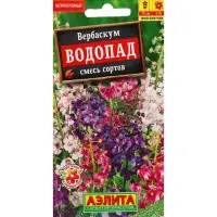 Набор семян Вербаскум "Водопад", 5 шт.