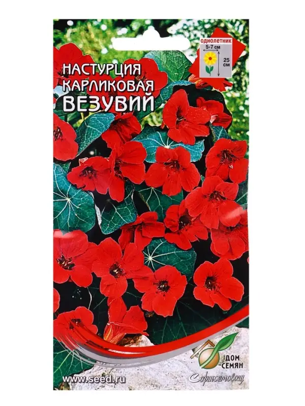 Семена цветов  Настурция карлик. Везувий 8 шт