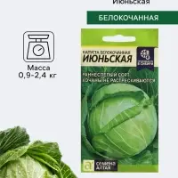 Семена Капуста белокочанная &laquo;Июньская&raquo;, 0.5 г, &laquo;Семена Алтая&raquo;