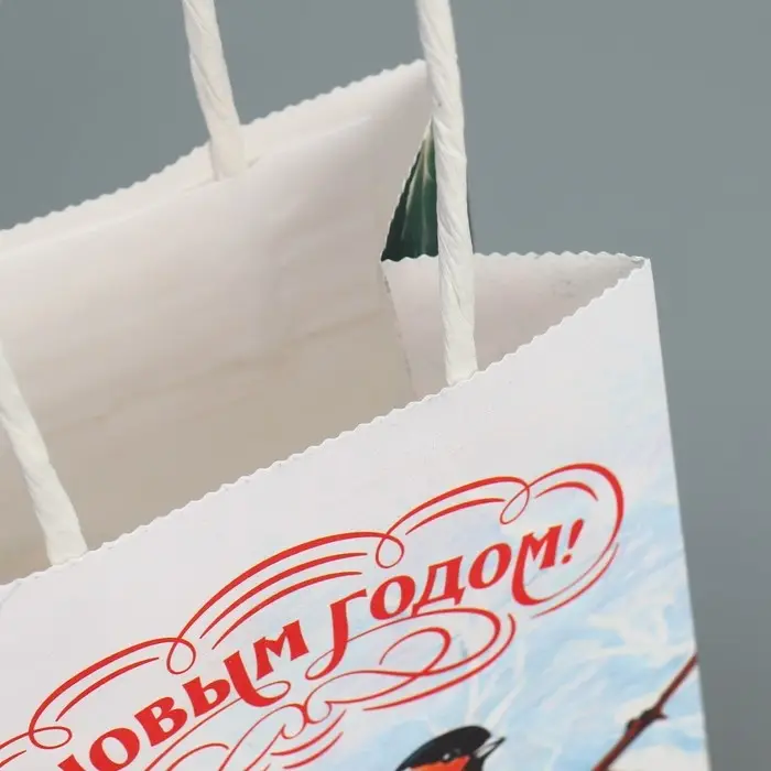Пакет подарочный новогодний крафтовый «Зимушка», 15 х 10 х 6 см